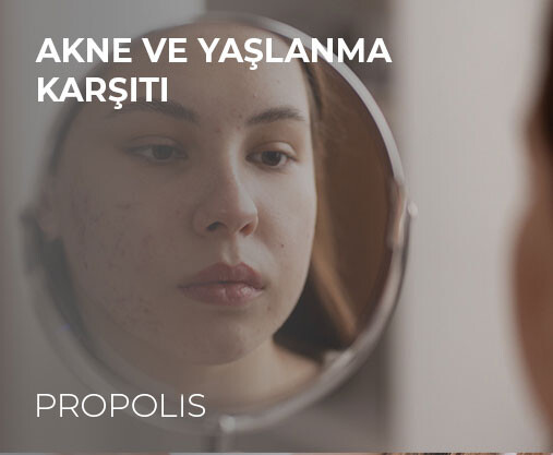 PROPOLIS