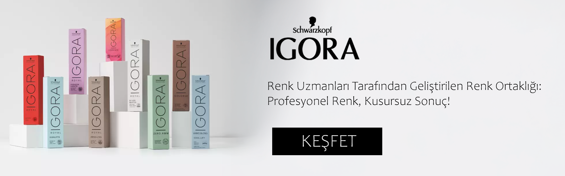 Igora Banner 2