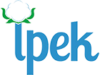 İpek Pamuk