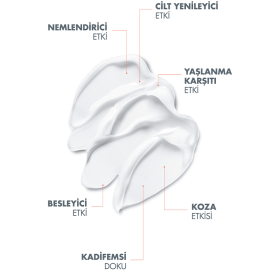 Avene DermAbsolu Comforting Night Balm - Yaşlanma Karşıtı Gece Bakım Kremi 40ml - 3