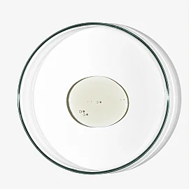 Babe Oil Soap - Vücut Yıkama Yağı 500ml - 8