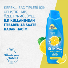 Blendax Kepek Karşıtı Şampuan - Limon Özlü 500ml - 4