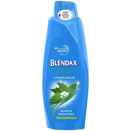 Blendax Saç Dökülmesine Karşı Şampuan 500ml - Blendax