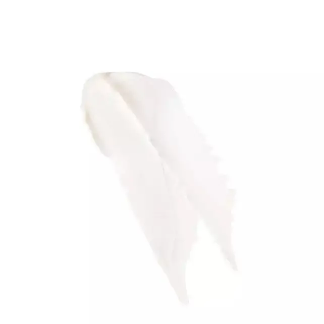 Caudalie Soin Des Levres Lip Conditioner Stick-Dudak Bakım Kremi 4.5gr - 2