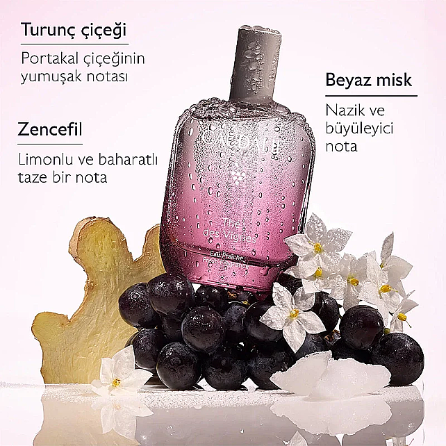 Caudalie The Des Vignes - Zencefil ve Yasemin Aromalı Kadın Parfümü 100ml - 2