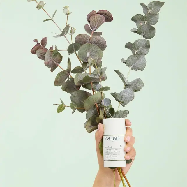 Caudalie Vinofresh 24H Natural Deodorant 50g - 3