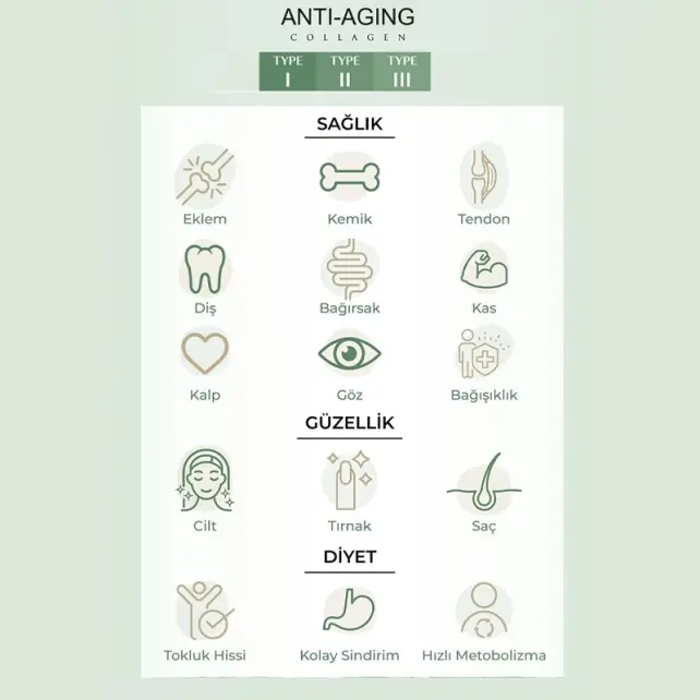 Collagen Forte Anti Aging - Takviye Edici Gıda 90 Tablet - 3