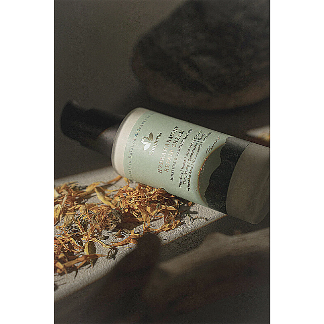 Conyferus WellBeauty Hydra Harmony Repair Cream - Nemlendirici ve Bariyer Destekleyici Bakım Kremi 50ml - 2