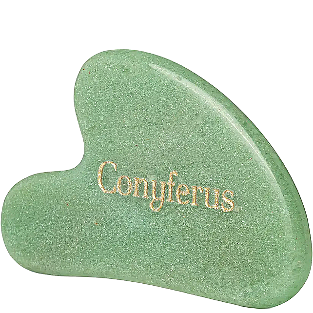 Conyferus WellBeauty Zenglow Aventurin Gua Sha Taşı - 2
