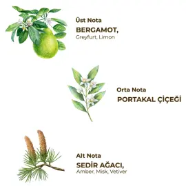 Eyüp Sabri Tuncer Tıraş Kolonyası No:3 250ml - 2