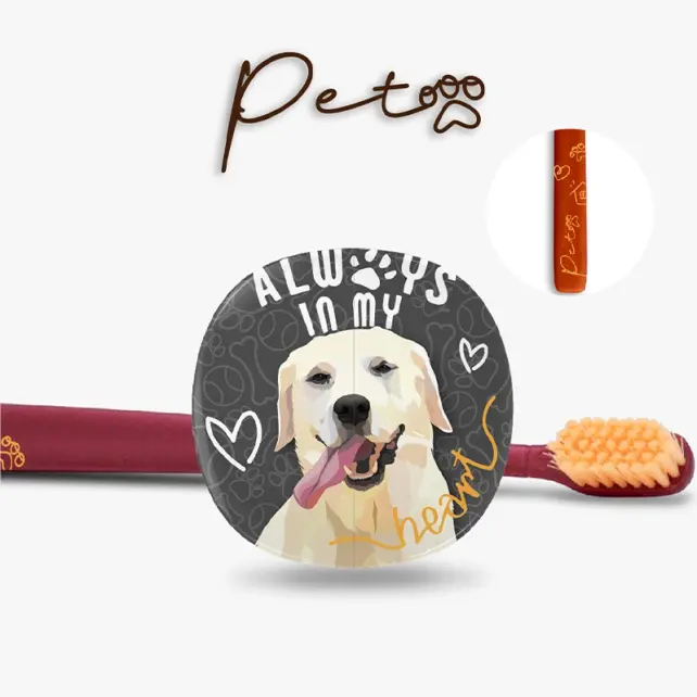 Flipper Pets Hijyenik Saklama Kabı & Diş Fırçası Seti Köpek - 5