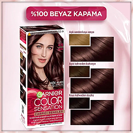 Garnier Çarpıcı Renkler Yoğun Kalıcı Saç Boyası No: 4.15 Buzlu Kestane - 3