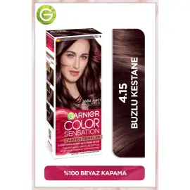 Garnier Çarpıcı Renkler Yoğun Kalıcı Saç Boyası No: 4.15 Buzlu Kestane - 2