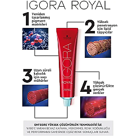 Igora Royal Permanet Color Creme - Saç Boyası No: 6-4 60ml Koyu Sarı Bej 60ml - 4