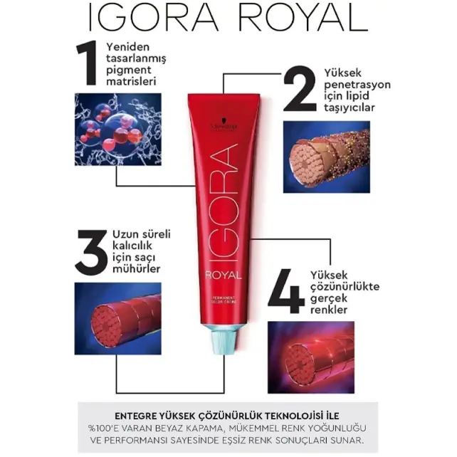 Igora Royal Permanet Color Creme - Saç Boyası No: 8-19 Açık Kumral Sandre Viyole 60ml - 4