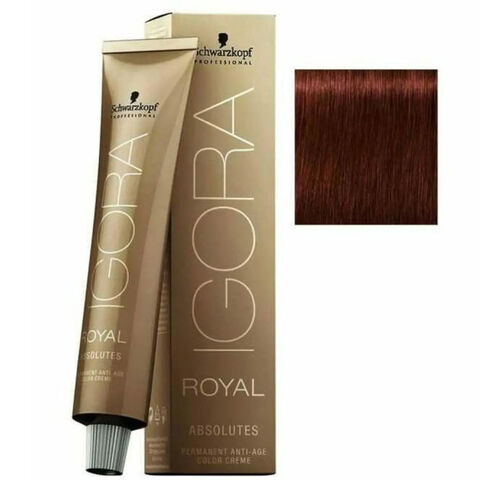 Igora Royal Absolutes Permanet Anti Age Saç Boyası No: 5-80 Açık Kahve Doğal Kızıl 60ml Igora Royal Absolutes Permanet Anti Age Saç Boyası No: 5-80 Açık Kahve Doğal Kızıl 60ml