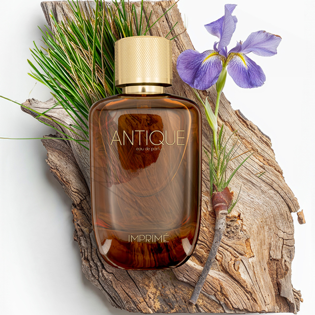 Imprime Men Antique EDP - Erkek Parfüm 100ml - 3