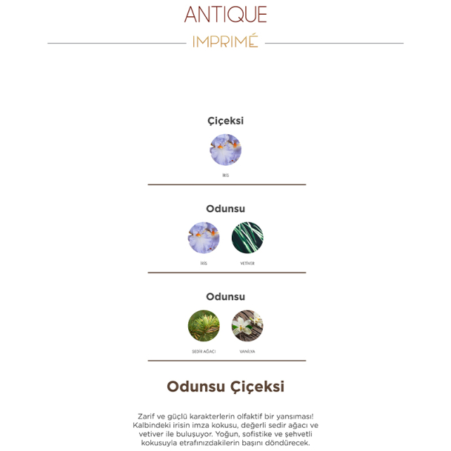 Imprime Men Antique EDP - Erkek Parfüm 100ml - 4