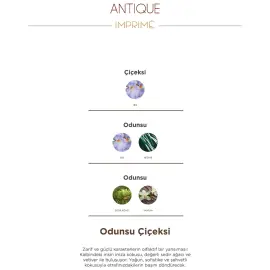 Imprime Men Antique EDP - Erkek Parfüm 100ml - 4