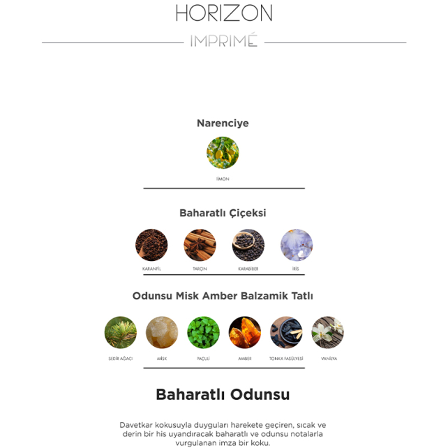 Imprime Men Horizon EDP - Erkek Parfüm 100ml - 4