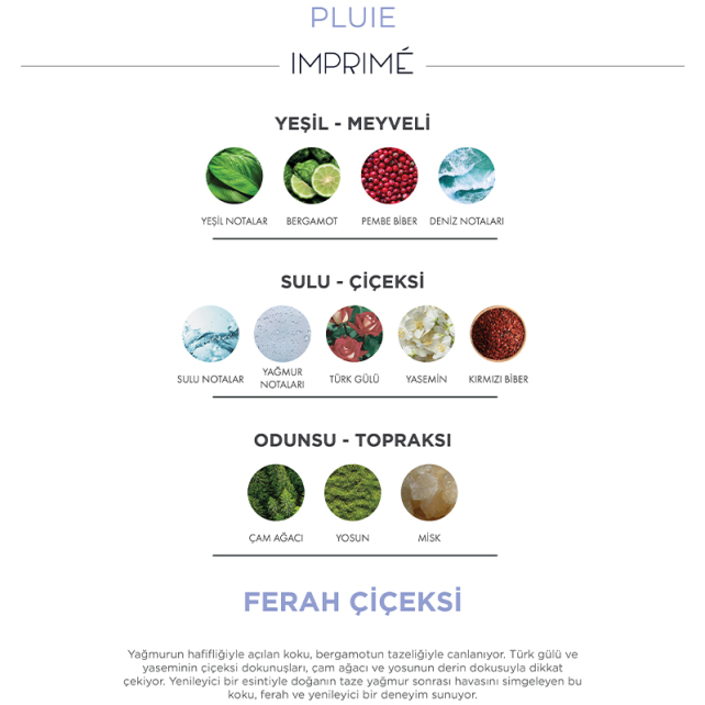 Imprime Unisex Pluie EDP - Kadın ve Erkek Parfümü 100ml - 4