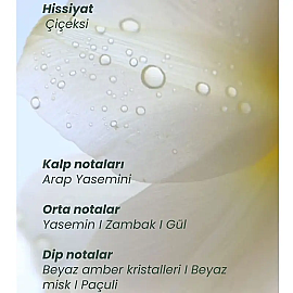 Matsu Myth Hair Parfüm - Saç Parfümü 50ml - 2