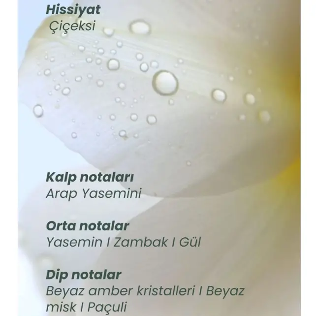 Matsu Myth Hair Parfüm - Saç Parfümü 50ml - 2
