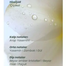 Matsu Myth Hair Parfume - Saç Parfümü 50ml - 2