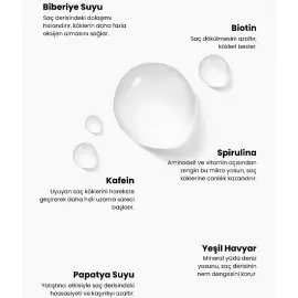 Matsu Rosemary Scalpify Root Mist - Dökülme Karşıtı Biberiye Saç Toniği 100ml - 2