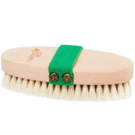 Nascita At Kılı Fırçası - Yeşil - Nascita