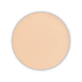 Pastel Profashion Beauty Filter - Transparan Pudra No: 01 - 2