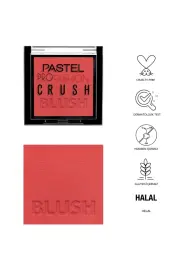 Pastel Profashion Crush Blush - Allık No: 304 - 3