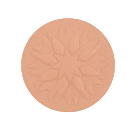 Pastel Your Purity Powder - Pudra No: 102 Natural Finish - 2