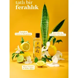 Rebul Sweet Lemon Kolonya - Pet Şişe 50ml - 2
