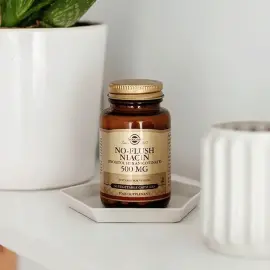 Solgar No Flush Niacin Takviye Edici Gıda 500mg/50 Kapsül - Solgar