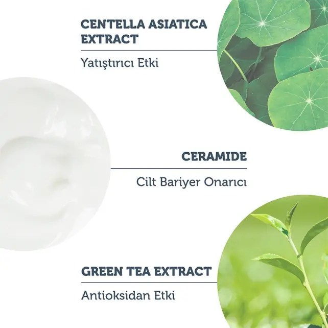 The Purest Solutions Daily Barrier UV Protection SPF 50+ Güneş Koruyucu Stick 17 gr - 3