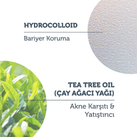 The Purest Solutions Hydrocolloid Invisible Acne Spot Patches - Şeffaf Akne Bandı 18x2 - 4