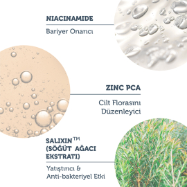 The Purest Solutions Niacinamide Intensive Pore Tightening & Lightening Serum 30ml - 4