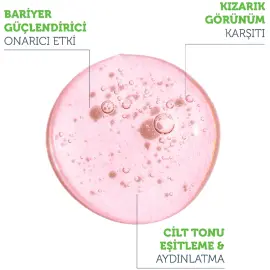 The Purest Solutions Vitamin B Complex Serum 30ml - 2