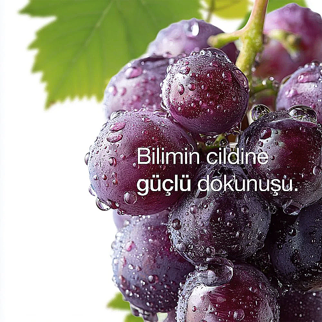 ya da multicosmetics Viniferine - Cilt Yenileyici ve Detoks Etkili Gece Bakım Yağı 30ml - 4
